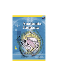 Anatomía Humana: Latarjet - Ruiz Liard, 5ta Edición