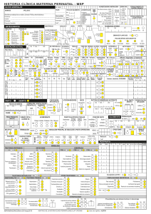 Historia Clínica Materna Perinatal - MSP