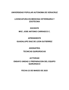 Preparaci&oacute;n Quir&uacute;rgica Veterinaria: Ensayo sobre T&eacute;cnicas y Protocolos