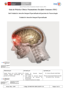 Gu&iacute;a de Pr&aacute;ctica Cl&iacute;nica de Traumatismo Enc&eacute;falo Craneano (TEC)