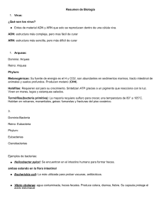 Resumen de Biología: Virus, Bacterias, Hongos y Plantas