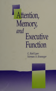 Attention, Memory, and Executive Function