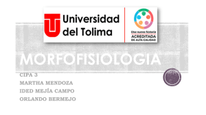 Morfofisiología: Sistemas Cardiovascular, Respiratorio, Urinario