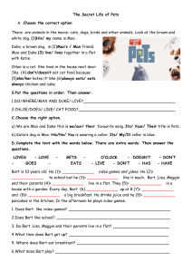 The Secret Life of Pets: Grammar & Comprehension Worksheet