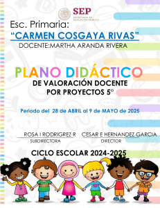 Plan Did&aacute;ctico 5&deg; Primaria: Proyectos y Valoraci&oacute;n Docente