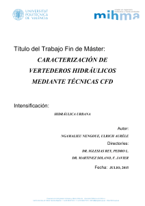 Vertederos Hidr&aacute;ulicos: Caracterizaci&oacute;n CFD - TFM