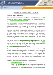 Anatomía de la Glándula Mamaria: Estructura y Función