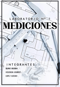 Informe de Laboratorio: Mediciones y C&aacute;lculos F&iacute;sicos