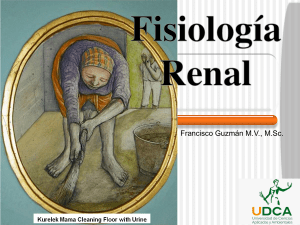 Fisiología Renal: Excreción, Nefronas y Hormonas