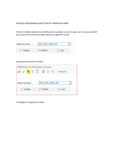 Borrar Work Items SBWP: Guía Paso a Paso en SAP