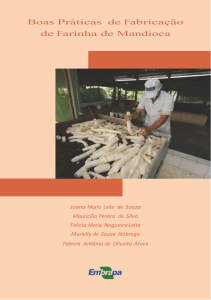 Boas Práticas de Fabricação de Farinha de Mandioca
