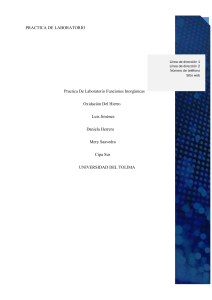 Oxidaci&oacute;n del Hierro: Pr&aacute;ctica de Laboratorio de Qu&iacute;mica Inorg&aacute;nica