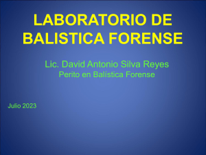 Bal&iacute;stica Forense: Introducci&oacute;n y Clasificaci&oacute;n de Armas