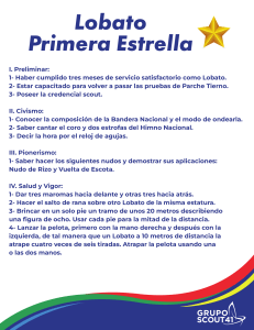 Lista de Verificación Avance Primera Estrella Lobato
