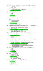 Cuestionario de Respiraci&oacute;n Celular: Biolog&iacute;a