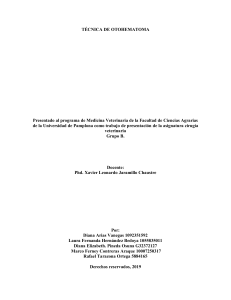 Técnica de Otohematoma en Veterinaria: Guía Completa