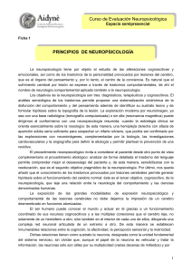 Principios de Neuropsicolog&iacute;a: Ficha de Curso
