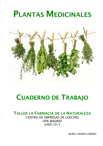Plantas Medicinales: Cuaderno de Trabajo