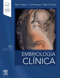 Embriolog&iacute;a Cl&iacute;nica: Desarrollo Humano | Moore, Persaud, Torchia