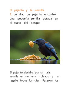 El Pajarito y la Semilla: Cuento Infantil sobre Paciencia