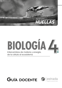 Gu&iacute;a Docente Biolog&iacute;a 4: Intercambios Materia y Energ&iacute;a