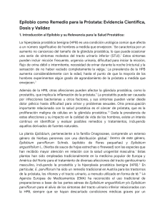 Epilobio y Pr&oacute;stata: Evidencia Cient&iacute;fica y Dosis