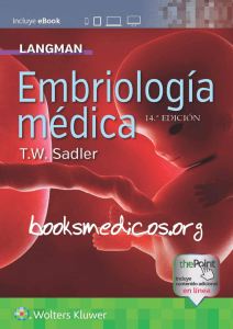 Embriología Médica de Langman: 14ª Edición
