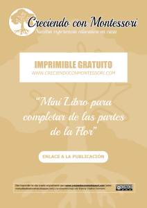 Mini Libro Partes de la Flor - Hoja de Trabajo Imprimible