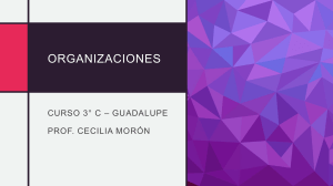 Organizaciones: Definici&oacute;n, Elementos y Clasificaci&oacute;n