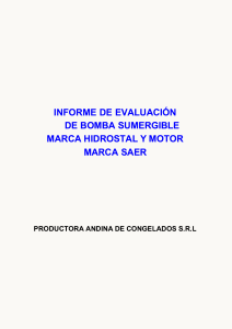 Informe de Evaluaci&oacute;n Bomba Sumergible Hidrostal y Motor SAER