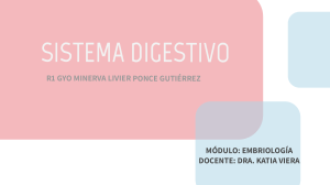 Embriología del Sistema Digestivo y Urogenital