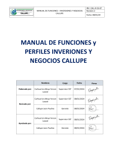 Manual de Funciones Inversiones y Negocios Callupe