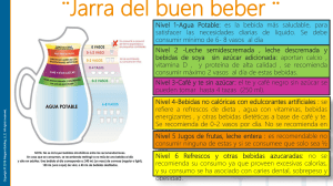 Gu&iacute;a de Hidrataci&oacute;n y Alimentaci&oacute;n Saludable