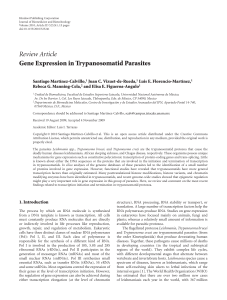 Gene Expression in Trypanosomatid Parasites Review