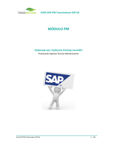 Guía SAP PM Transmetano ESP SA: Módulo PM