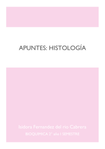 Apuntes Histología: Tejido Epitelial y Conectivo