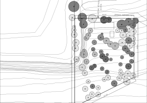 Plano de Sitio: Elevaciones y Ubicaci&oacute;n de &Aacute;rboles