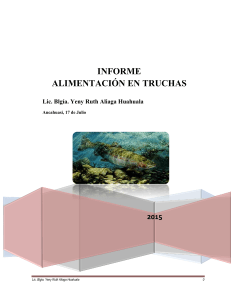 INFORME ANCAHUASI - ALIMENTACIÓN EN TRUCHAS