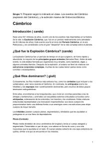 Guía de Estudio: Explosión Cámbrica y Extinción Ordovícica