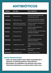 Antibióticos: Dosis, Efectos e Indicaciones | Tabla Informativa