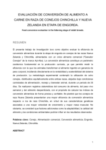 Conversión Alimenticia en Conejos: Chinchilla vs. Nueva Zelanda