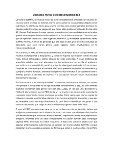 Complejo Mayor de Histocompatibilidad (MHC): Inmunolog&iacute;a