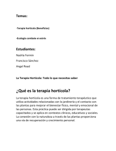 Terapia Hort&iacute;cola: Beneficios y Reducci&oacute;n del Estr&eacute;s