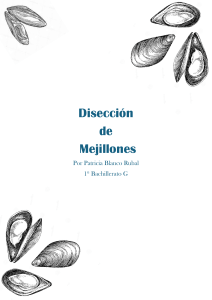Disección de Mejillones: Informe de Laboratorio de Biología