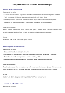 Anatom&iacute;a Vascular Quir&uacute;rgica: Gu&iacute;a para el Expositor