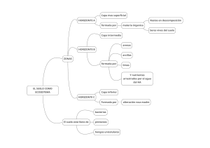 El Suelo como Ecosistema: Diagrama de Zonas y Componentes