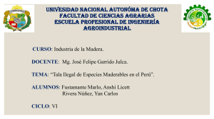 Tala Ilegal en Per&uacute;: Causas, Efectos y Soluciones