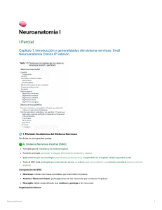 Neuroanatomía I: Introducción al Sistema Nervioso