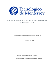 Derecho Penal y Activismo Social: Ensayo sobre la Creaci&oacute;n de Leyes
