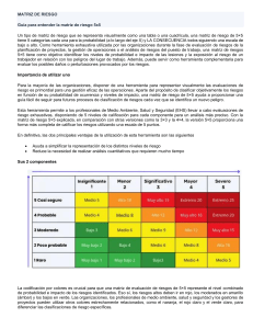 Matriz de Riesgo 5x5: Guía Completa